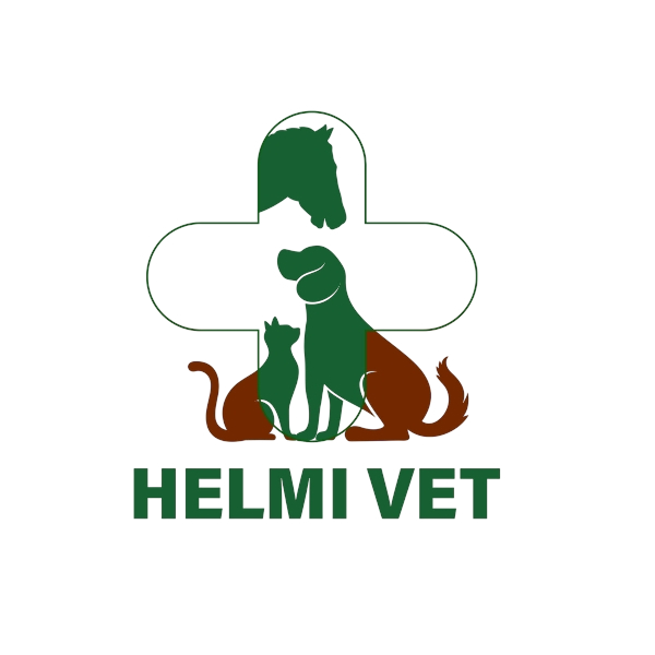 logo helmivet