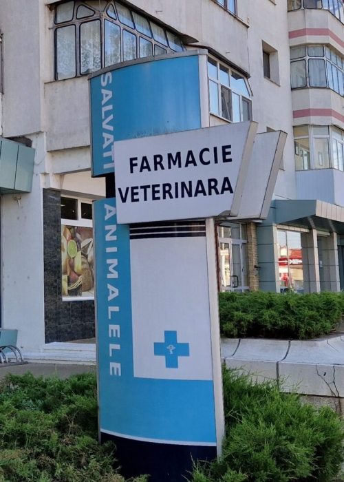 clinica-veterinara-radauti-farmacie-helimvet-1-scaled